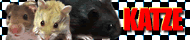 j`syd